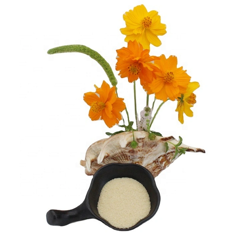 Food Additives For Cheese Grade Price Edible Beef Glatin Transparent Granular Gelatin gelatin manufacturer